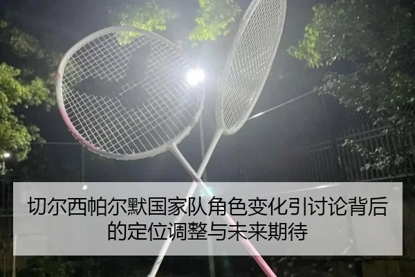切尔西帕尔默国家队角色变化引讨论背后的定位调整与未来期待